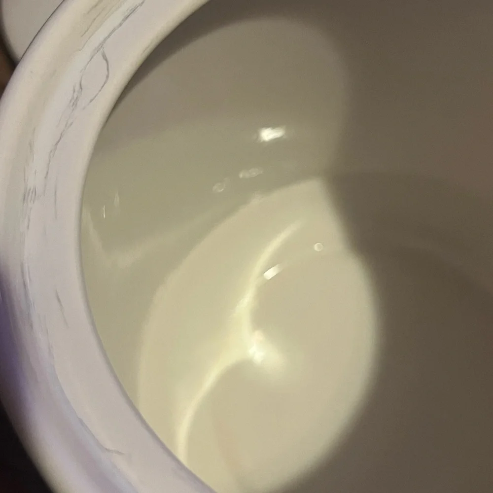 Vintage 1980s Blue Ribbon Country Geese Canister Set - Picture 7 of 11